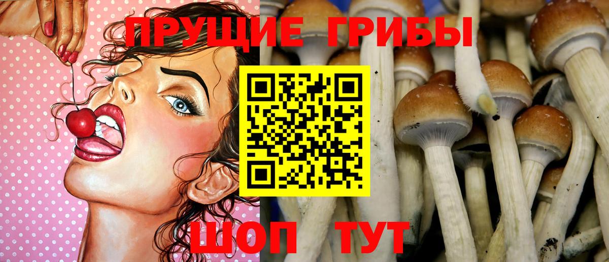 Галлюциногенные грибы ЛСД  Псилоцибиновые грибы Magic Shrooms  Новотроицк  Вход с VPN 
